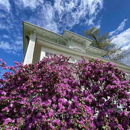 Bloom Farm Guesthouse Mount Vision エクステリア 写真