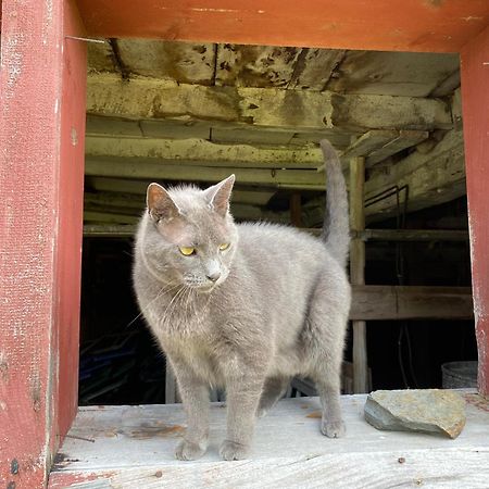 Bloom Farm Guesthouse Mount Vision エクステリア 写真