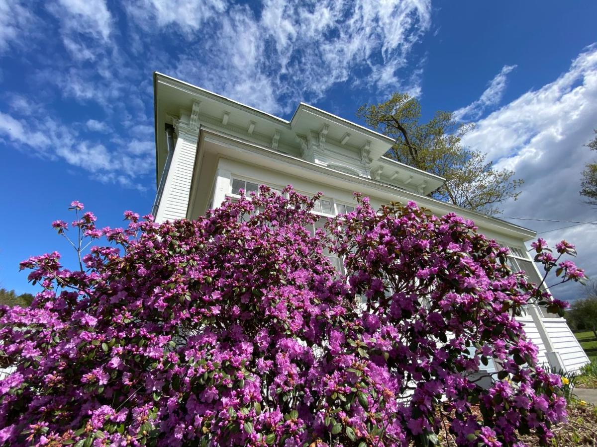 Bloom Farm Guesthouse Mount Vision エクステリア 写真