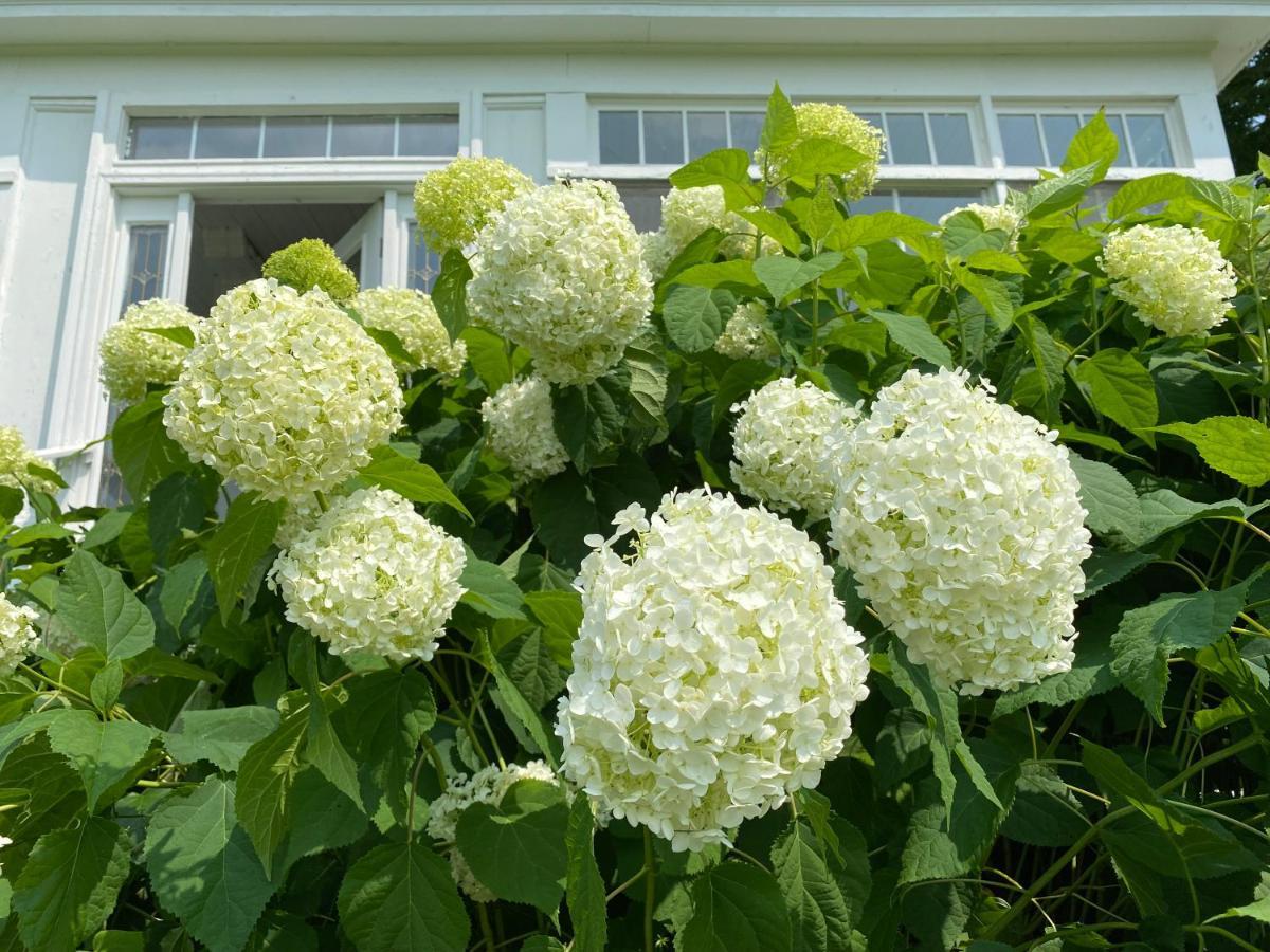 Bloom Farm Guesthouse Mount Vision エクステリア 写真