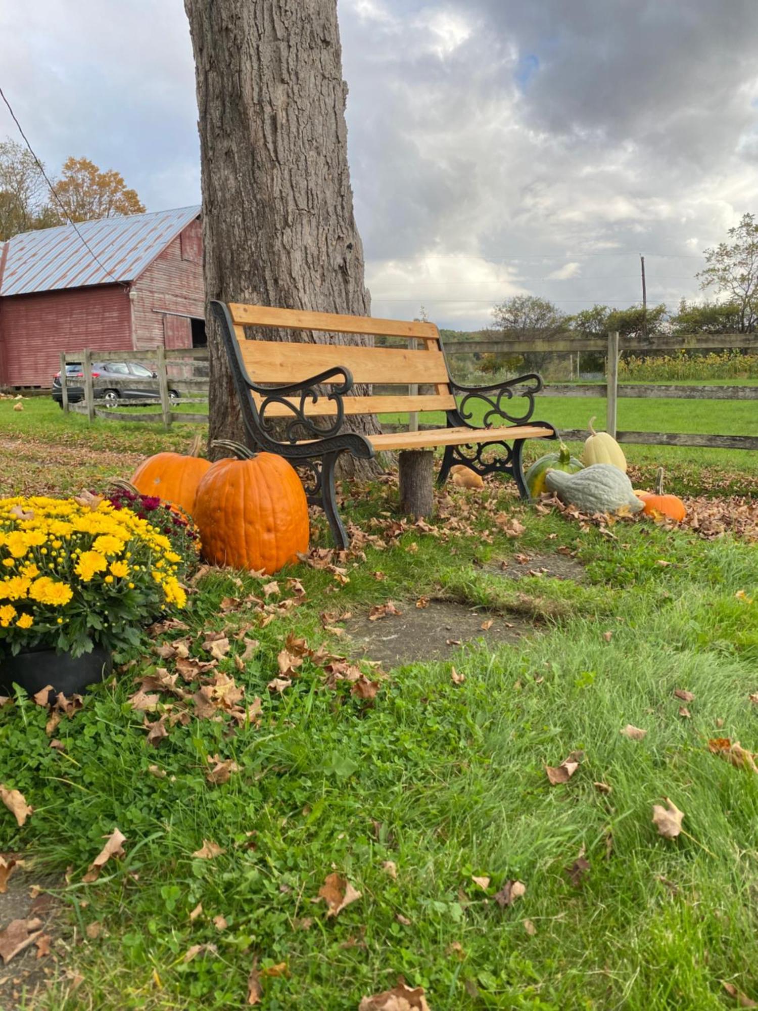 Bloom Farm Guesthouse Mount Vision エクステリア 写真